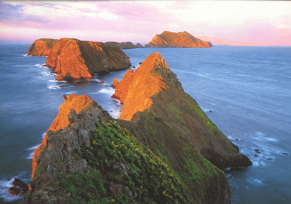 channel islands semblance